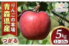 りんご【つがる】約5kg（12～20玉）【2025年産・先行予約】★2025年9月上旬～9月下旬頃まで発送予定★ りんご 林檎 リンゴ つがる 国産 フルーツ 果物 贈答 土産 青森県 三戸町 H2848