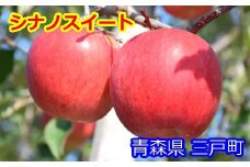 りんご【シナノスイート】約5kg（12～20玉）【2025年産・先行予約】★2025年10月中旬～11月中旬頃まで発送予定★ 青森県三戸町産