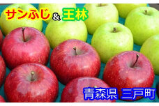 りんご【サンふじ＆王林】セット 約5kg（計12～20玉）【2025年産・先行予約】★2025年12月上旬～12月下旬頃まで発送予定★ 青森県三戸町産