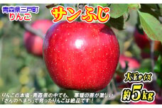 りんご【サンふじ】約5kg（12～14玉・大玉サイズ）【2025年産・先行予約】★2025年12月上旬～12月下旬頃発送予定★ 青森県三戸町産