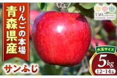 りんご【サンふじ】約5kg（12～14玉・大玉サイズ）【2025年産・先行予約】★2025年12月上旬～12月下旬頃発送予定★ 青森県三戸町産 アップル 林檎 フルーツ 果物 果実 青森県産 三戸 贈答 ギフト プレゼント 産地直送 農家直送 送料無料  青森県三戸町 H2908