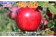 りんご【サンふじ】約5kg（12～20玉）【2025年産・先行予約】★2025年12月上旬頃より順次発送予定★ 青森県三戸町産