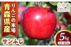 りんご【サンふじ】約5kg（12～20玉）【2025年産・先行予約】★2025年12月上旬頃より順次発送予定★ 青森県三戸町産 りんご サンふじ 2025年産 先行予約 サンふじりんご 蜜入り 旬 甘い 青森県三戸町 H2857