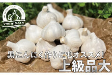 【先行予約　2025年産】にんにくのよしだ家 青森県産 にんにく 大サイズ 800g 福地ホワイト種 にんにく 青森県 にんにく 三戸町 H2909