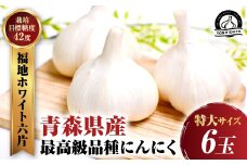 【2025年産】にんにくのよしだ家 青森県産 にんにく 特大サイズ・６玉 福地ホワイト種 にんにく 青森県 にんにく 三戸町 R0407