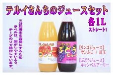 テルイさんちのジュースセット【りんごジュース＆ぶどうジュース】各1L【照井観光果樹園】　青森県産