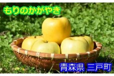 希少！りんご【もりのかがやき】約5kg（10～20玉）【2025年産・先行予約】★2025年10月上旬～10月下旬頃まで発送予定★ 青森県三戸町産