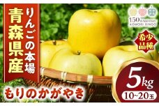 希少！りんご【もりのかがやき】約5kg（10～20玉）【2025年産・先行予約】★2025年10月上旬～10月下旬頃まで発送予定★ りんご 林檎 リンゴ 国産 もりのかがやき 希少 フルーツ 果物 贈答 土産 青森県 三戸町 R0101