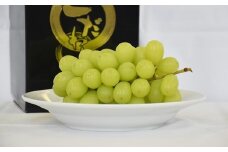 【先行受付】甘い！シャインマスカット　1房（550～650g）【化粧箱入り】
