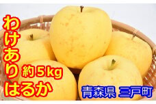 【訳あり】高級りんご【はるか】約5kg（12～20玉）【2025年産・先行予約】★2025年12月上旬～2026年1月上旬頃まで発送予定★ 青森県三戸町産