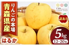 【訳あり】高級りんご【はるか】約5kg（12～20玉）【2025年産・先行予約】★2025年12月上旬～2026年1月上旬頃まで発送予定★ りんご 林檎 リンゴ 訳あり はるか 国産 フルーツ 果物 希少 青森県 三戸町 H3022