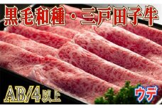 【黒毛和牛A4・B4等級以上】「三戸田子牛」ウデスライス380g