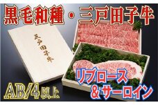 【黒毛和牛A4・B4等級以上】リブロース460g & サーロイン200g