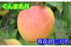 りんご【ぐんま名月】約5kg（12～20玉）【2025年産・先行予約】★2025年11月上旬～12月下旬頃まで発送予定★ 青森県三戸町産
