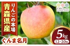 りんご【ぐんま名月】約5kg（12～20玉）【2025年産・先行予約】★2025年11月上旬～12月下旬頃まで発送予定★ りんご 林檎 リンゴ 国産 ぐんま名月 フルーツ 果物 贈答 土産 青森県 三戸町 R0113