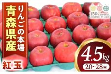 りんご【紅玉】約4.5kg（20～28玉）【2025年産・先行予約】★2025年10月中旬～11月上旬頃まで発送予定★ りんご 林檎 リンゴ 国産 紅玉 フルーツ 果物 贈答 土産 青森県 三戸町 R0214
