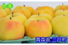 りんご【トキ】約5kg（12～20玉）【2025年産・先行予約】★2025年9月下旬～11月上旬頃まで発送予定★ 青森県三戸町産