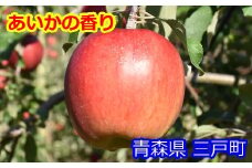 りんご【あいかの香り】約5kg（12～20玉）【2025年産・先行予約】★2025年11月上旬～12月下旬頃まで発送予定★ 青森県三戸町産