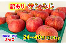 【訳あり】りんご【サンふじ】約10kg（24～40玉）【2025年産・先行予約】★2026年1月以降順次発送予定★ 青森県三戸町産