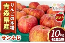 【訳あり】りんご【サンふじ】約10kg（24～40玉）【2025年産・先行予約】★2026年1月以降順次発送予定★ アップル 林檎 フルーツ 果物 果実  産地直送 農家直送 送料無料 青森県三戸町 R0332 