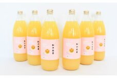 「紅の名月」りんごジュース（ストレート）1L×6本【みちはた果樹園】※2024年12月中旬発送開始予定　青森県産　アップル