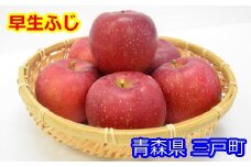 りんご【早生ふじ】約5kg（12～20玉）【2025年産・先行予約】★2025年9月下旬～10月下旬頃まで発送予定★ 青森県三戸町産