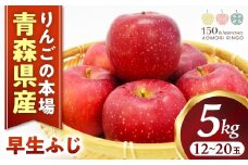 りんご【早生ふじ】約5kg（12～20玉）【2025年産・先行予約】★2025年9月下旬～10月下旬頃まで発送予定★ りんご 林檎 リンゴ 国産 早生 ふじ フルーツ 果物 贈答 土産  青森県 三戸町 R0409