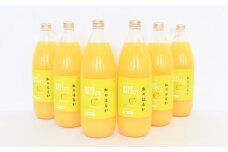 「紅のはるか」りんごジュース（ストレート）1L×6本【みちはた果樹園】　青森県産　アップル