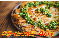 パワーみなぎる！ギガーリック餃子 40個入【特製葉にんにくのたれ付】
