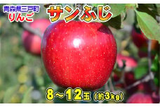 りんご【サンふじ】8～12玉（約3kg）【2024年産・先行予約】★2024年12月下旬～2025年1月中旬以降にかけて順次発送★