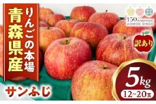 【訳あり】りんご【サンふじ】約5kg（12～20玉）【2025年産・先行予約】★2026年1月以降順次発送予定★ アップル 林檎 フルーツ 果物 果実  産地直送 農家直送 送料無料 青森県三戸町 R0609