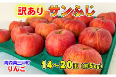 【訳あり】りんご「サンふじ」14～20玉（約5kg）★2024年11月下旬から順次発送予定★