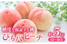 【2025年発送分残り僅か】桃 約5kg (15～18玉) 「ぴちパ　ピ－チ」 桃 もも モモ あかつき まどか 川中島 ピ－チ デザート フルーツ 果物 くだもの 果実 風味豊か 香り 甘い 新鮮 果樹 ジュ－シ－ 果実 みずみずしい 季節のフルーツ 青森県 三戸町 R0712