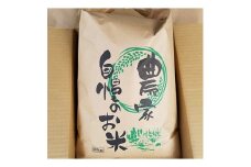 ＜毎月定期便＞まっしぐら　玄米20kg(10kg×2袋)全4回【4007454】