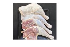 青森シャモロック　骨付きもも肉4本セット(2本入×2パック)冷凍【1499844】