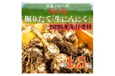 幻の旬!青森ごのへ町産　掘りたて土付き「生」にんにく　Lサイズ以上　約1.5kg【1599840】