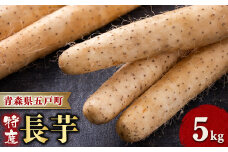 ＜青森県五戸町特産＞長芋　5kg【1017942】