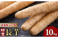 ＜青森県五戸町特産＞長芋　10kg【1017943】