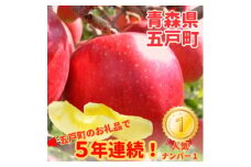 ＜青森ごのへ産＞味に自信 りんご  サンふじ 約5kg【1034082】