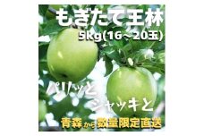 ＜青森ごのへ産＞ パリッと、シャキッとした王林 約5kg(16～20玉)【1051220】