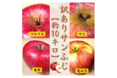 ＜青森ごのへ産＞ 家庭用 りんご サンふじ 約10kg(訳アリ)【1122681】