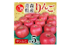 「青森県五戸町産」サンふじりんご　約5kg(12～20玉)【1101259】