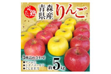 「青森県五戸町産」りんご3種詰め合わせ　約5kg(14～18玉)【1137377】