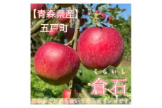 ＜青森県産＞紅玉 約5kg【1258347】