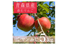 ＜青森県産＞サンふじ 約5kg【1260413】