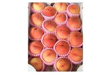 ももやの「桃」 約5kg(15～18個入り)【1084668】