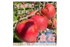 ＜青森県産＞ジョナゴールド 約5kg【1258348】