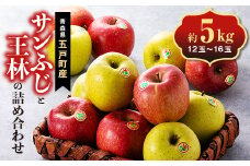 五戸のサンふじと王林の詰め合わせ 約5kg【1358683】