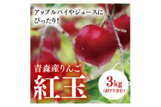＜青森産りんご＞紅玉　約3kg(訳アリ含む)【1357285】