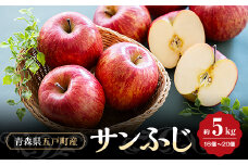 ＜青森県五戸産＞りんご(サンフジ)約5kg(16個～20個入り)【1362334】